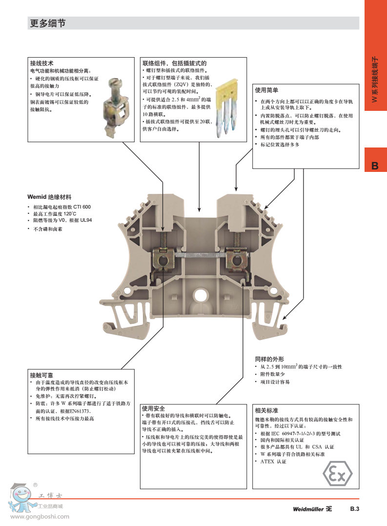 W系列總概1