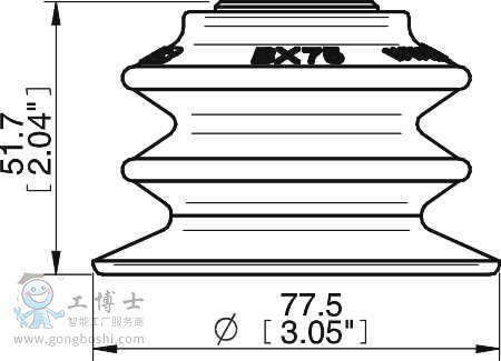 外形